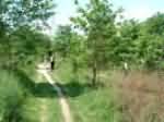 DSCF0042.JPG